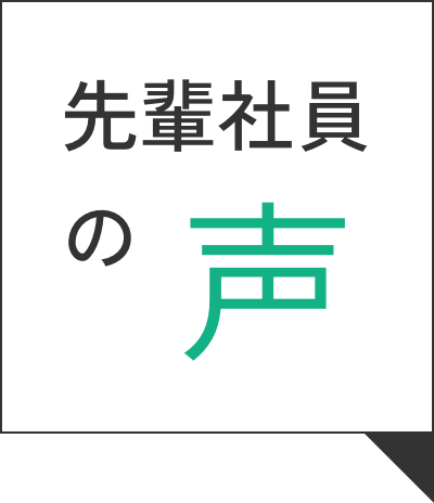 先輩社員の声